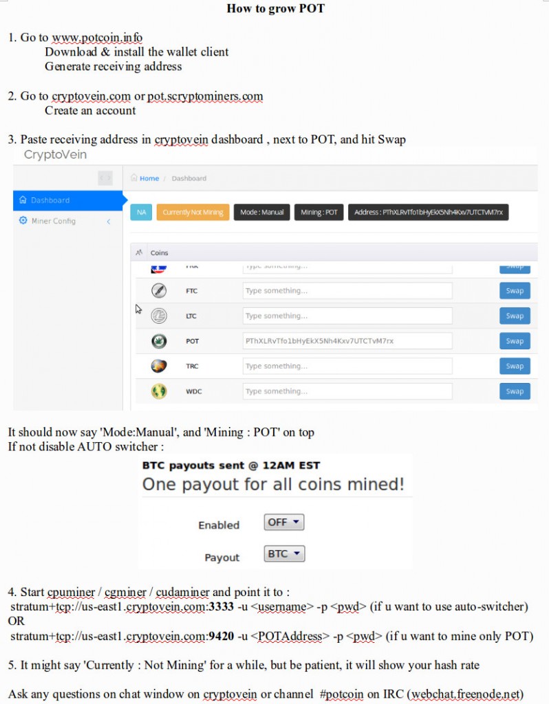 beeld poitcoin