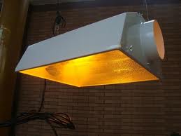 Een luchtgekoelde lamp kan uitkomst bieden in de zomer