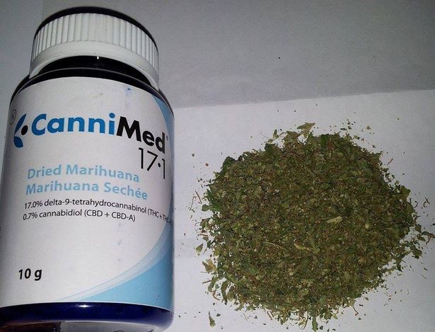 Een voorbeeld van het nieuwe cannabismedicijn dat patiënten in Canada voortaan verplicht moeten kopen. Het kost volgens de fabrikant maar liefst 11 dollar om break even te spelen...