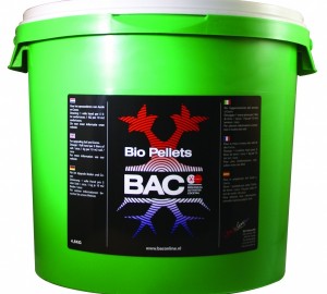 bac-bio-korrels-45kg