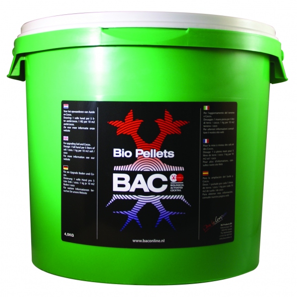 bac-bio-korrels-45kg