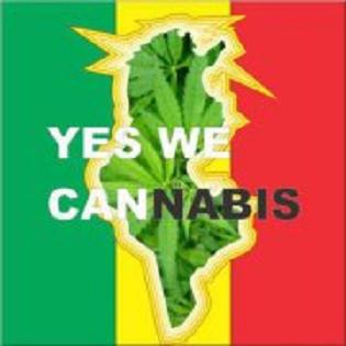 tunisia-marijuana
