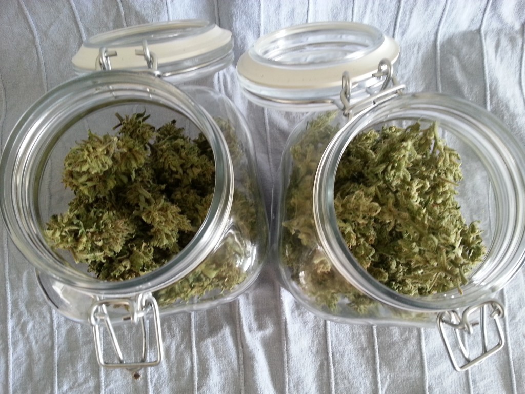 Rechts de White Diesel Haze