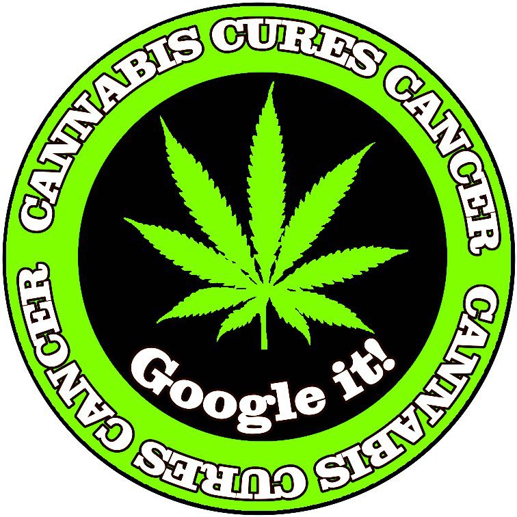 cannabis_cures_cancer_google_it