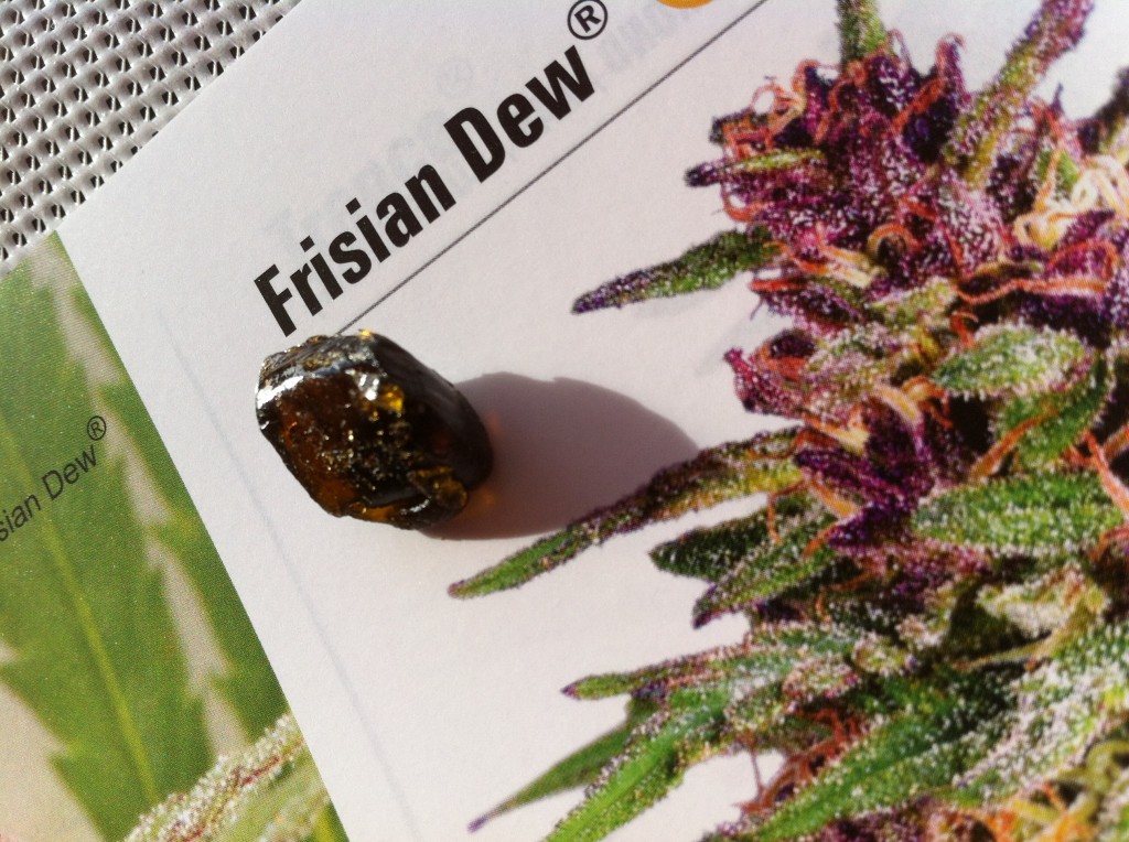 Cannabis Extract Frisian Dew
