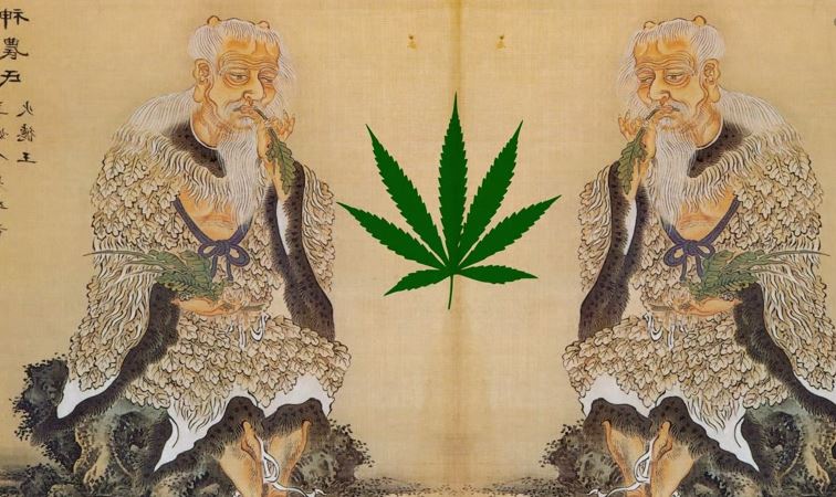 марихуана история