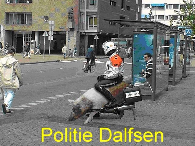 Niet iedereen in Dalfsen is fan van de plaatselijke autoriteiten, zoals blijkt uit dit toepasselijke plaatje dat we op internet vonden...