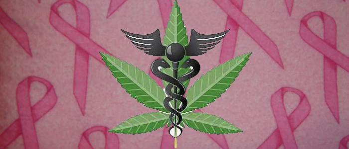 studies-show-marijuana-prevents-breast-cancer-article-thcfinder