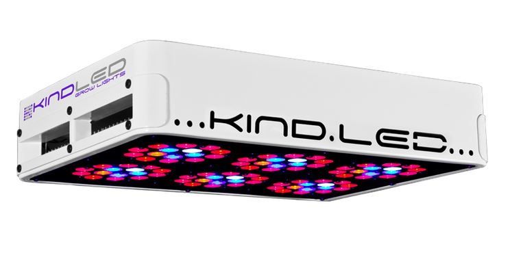 De Kind LED lamp van Best Grow Products