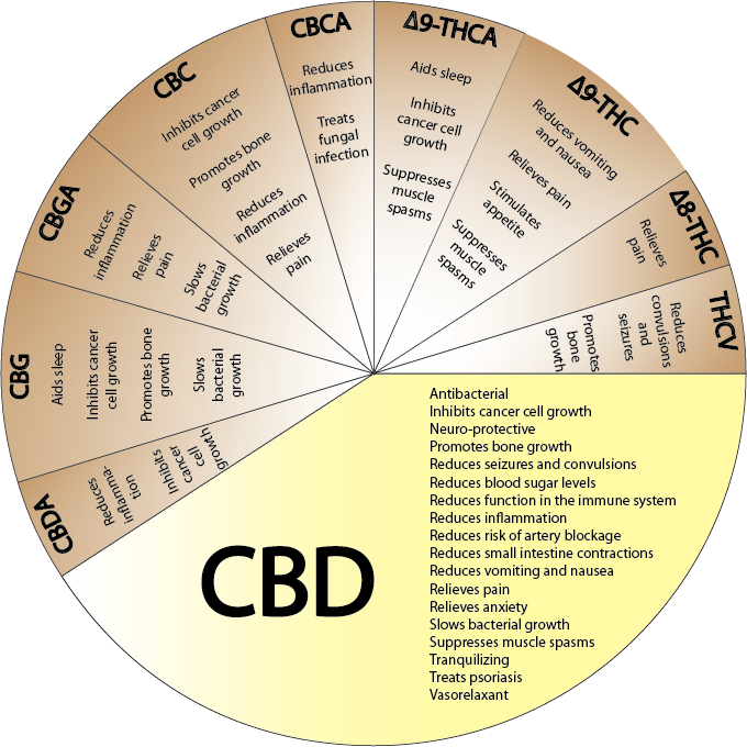 Een kaart met de medicinale voordelen van cannabis, waaronder de topper CBD