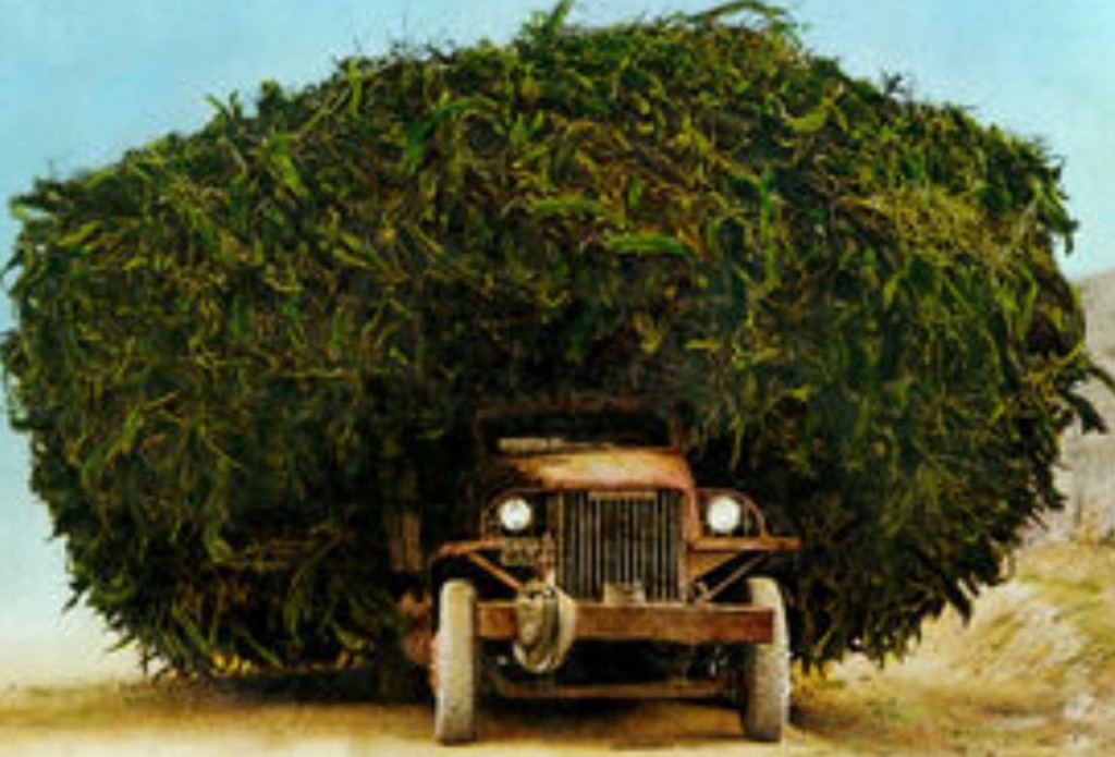 'Truck full marijuana' heet deze foto op internet. Moet je het mee doen, want foto's van de plantage in Gelderland zijn er niet