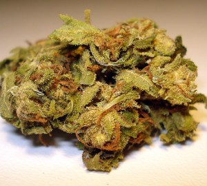 Acapulco Gold