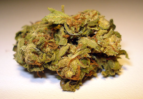 Acapulco Gold