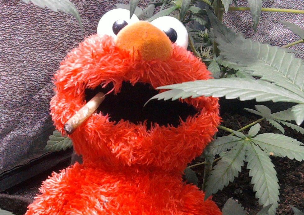 elmo