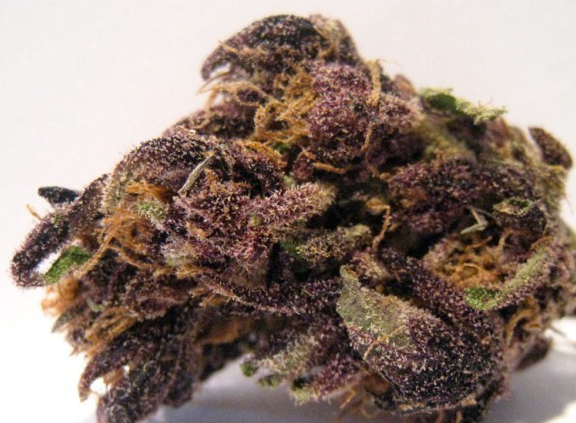 purplemonkeyballs