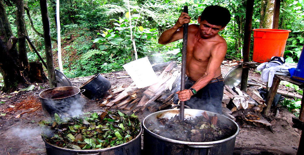 ayahuasca