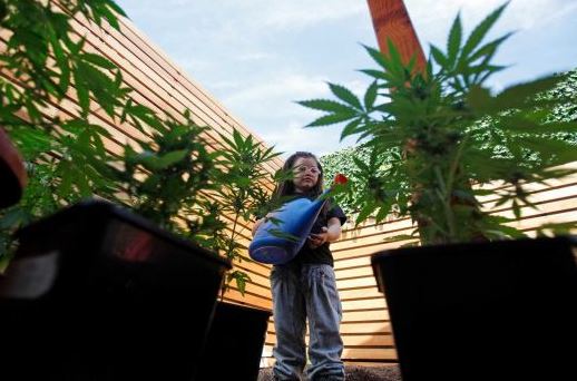 Een van de kinderen die cannabisolie krijgt van haar ouders geeft haar medicijn water...