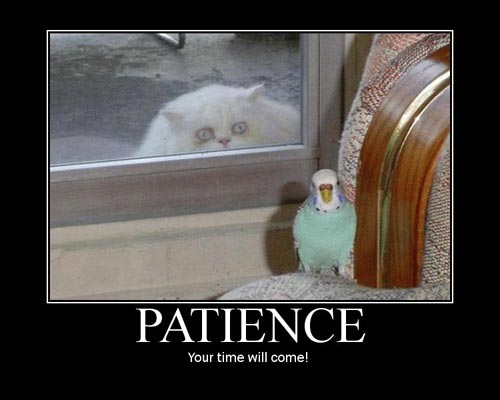 patience