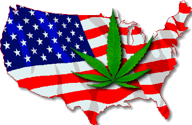 america-weed