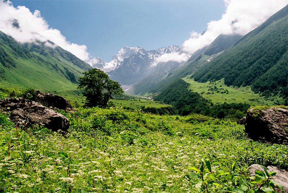 valley india