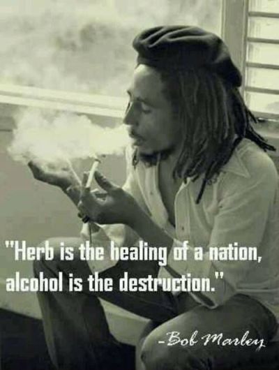 Herb-is-the-healing