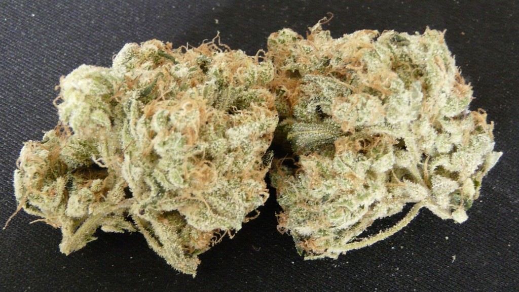 24K Gold dry bud 003