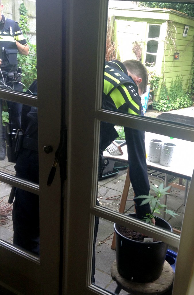 Politie-inval-VOC-01-06-2015_politieman_rukt_plantje_uit_0253