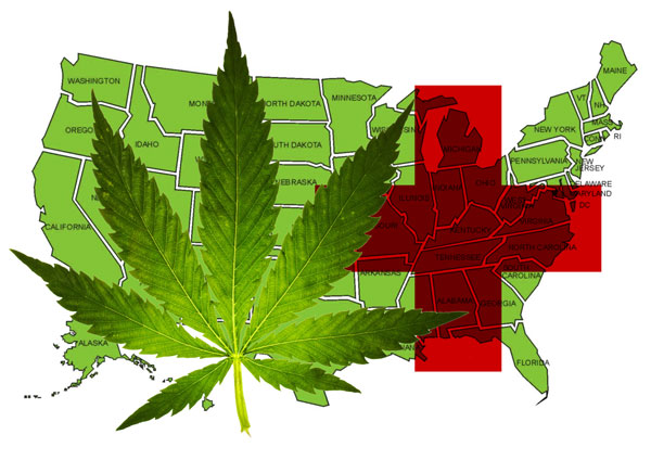 Medicinale cannabis is een belangrijke aanjager van de cannabisrevolutie in de VS [beeld: DutchPassion]