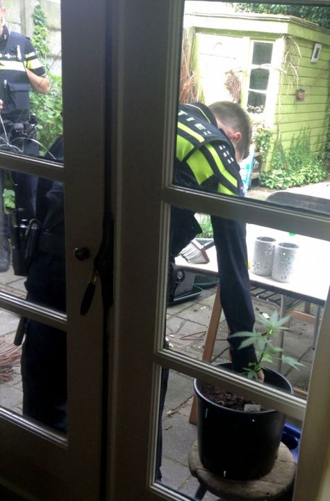 Politie-inval-VOC-01-06-2015_politieman_rukt_plantje_uit_0253-676x1024