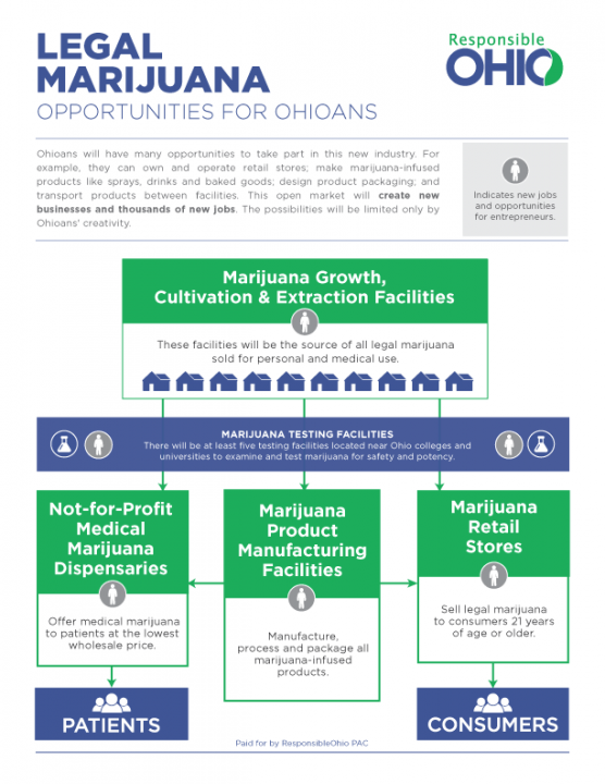 Het wietplan van ResponsibleOhio in een schema gevat