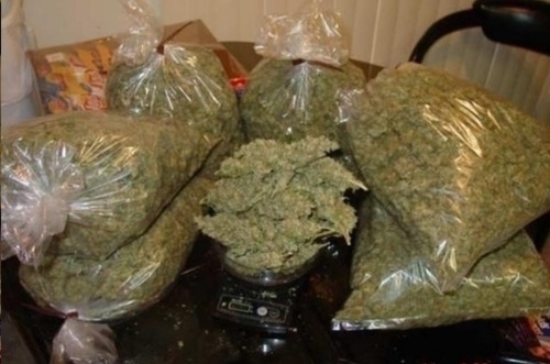 Zeven kilo cannabis is er gevonden, ofwel de voorraad voor 2 dagen voor 2 coffeeshops...