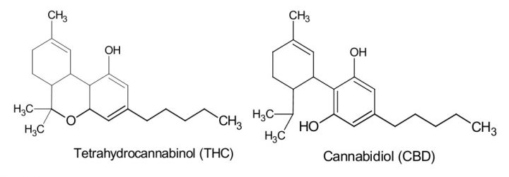 THC CBD