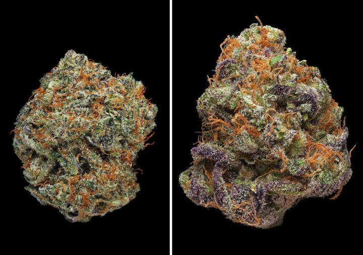 purpleogblackberrykush.jpg.CROP.original-original