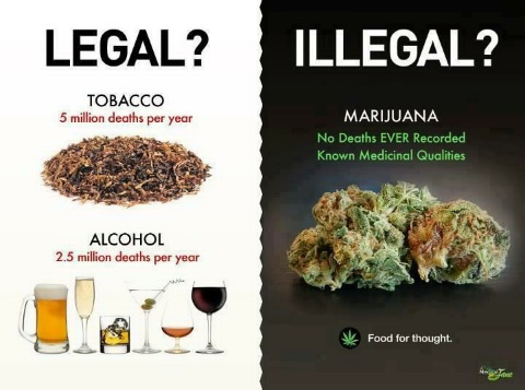 alcohol_vs_marijuana