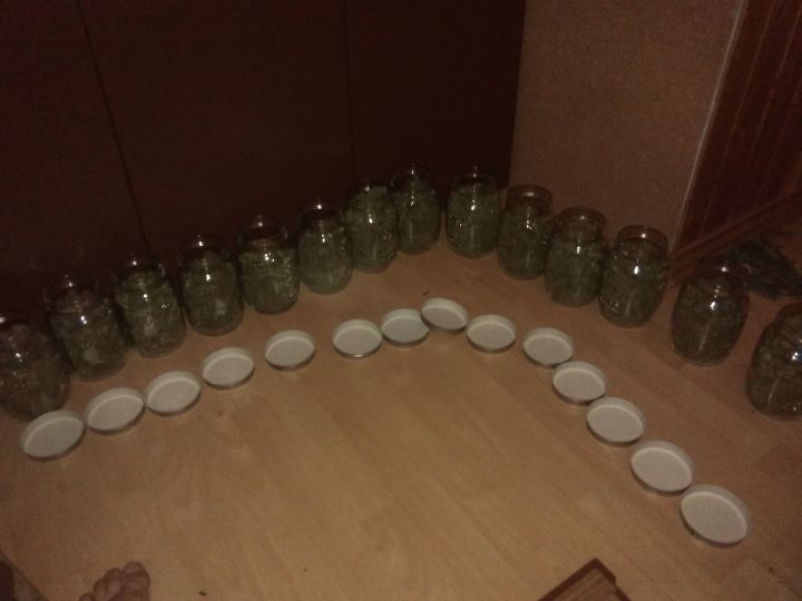 alle jars