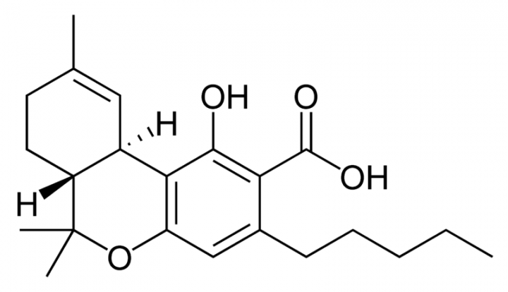 THCA-Image