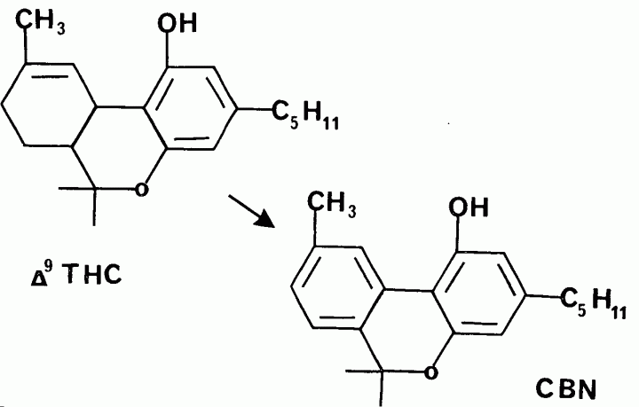 THC-CBN