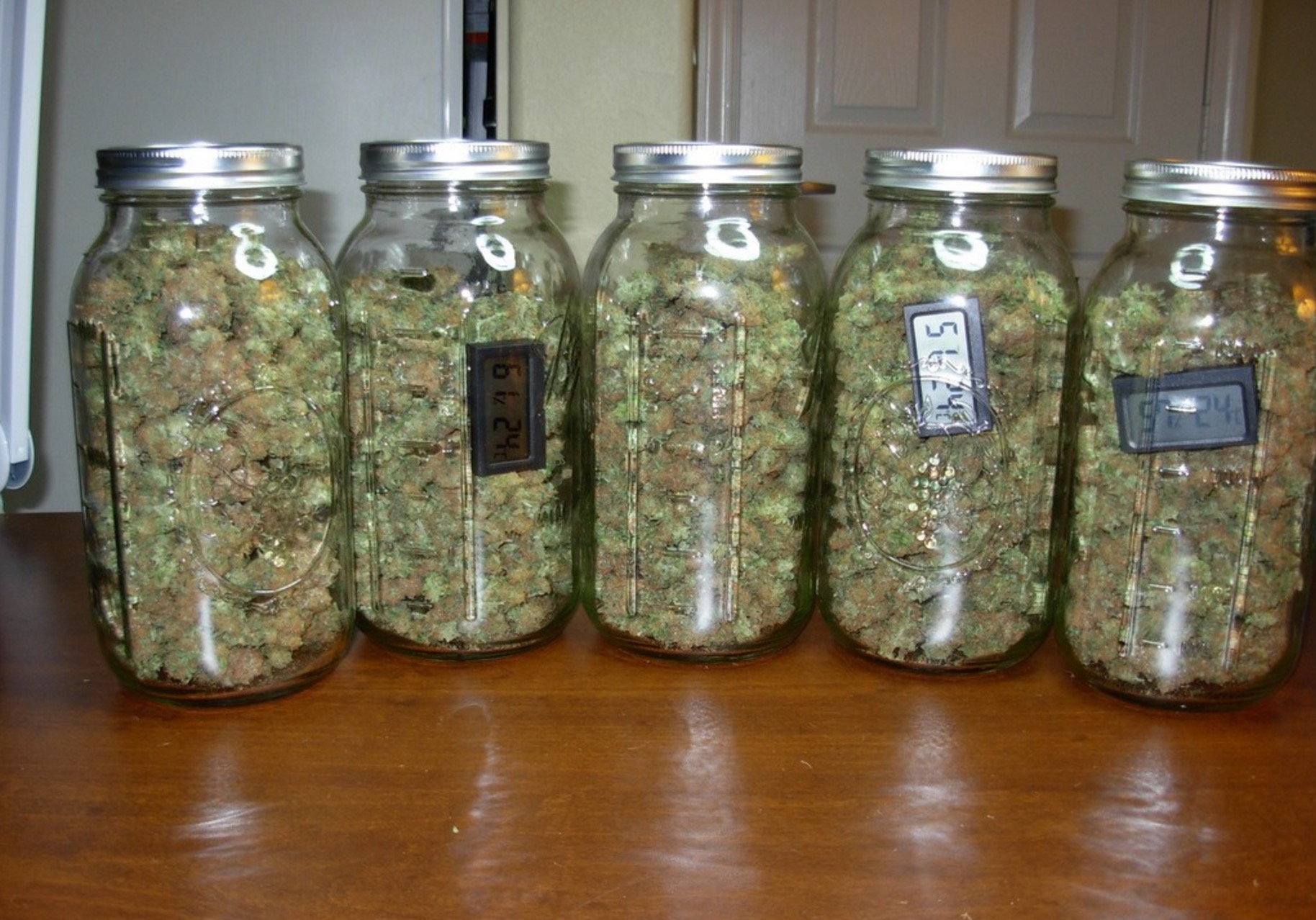 Wiet wordt gecured in potten met hygrometers erin