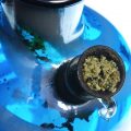 Top 5 - Sterkste (medicinale) CBD cannabis soorten op aarde