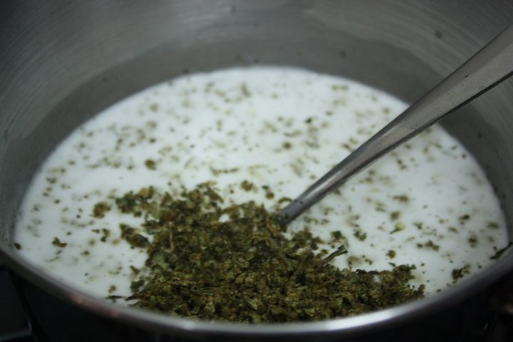 cannamilk kopie