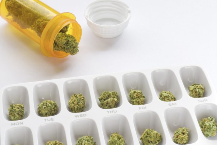 Cannabis kent vele medicinale voordelen. Foto: SageElyse, Shutterstock.com