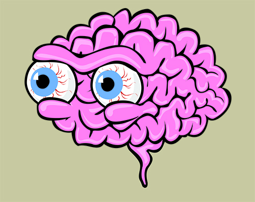 Cerebraal slaat op de cerebrale cortex in de hersenen. Foto: softRobot, Shutterstock.com