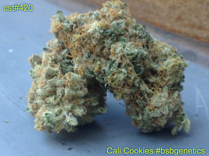 Cali Cookies