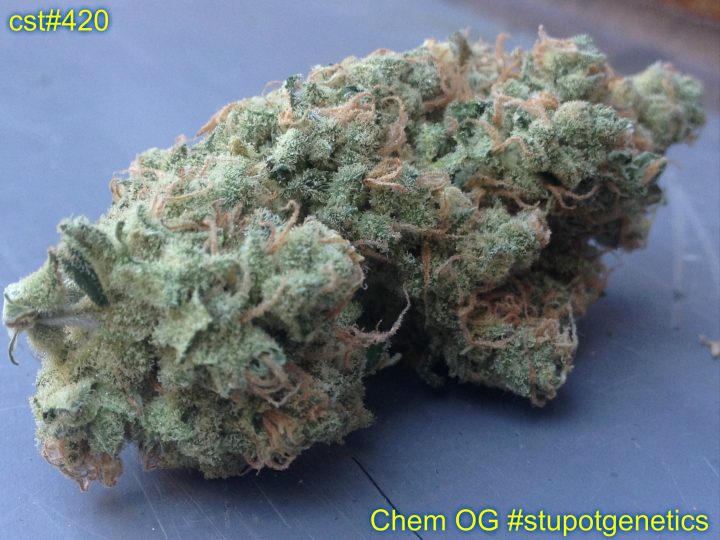 Chem OG