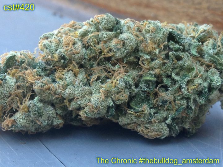 The Chronic