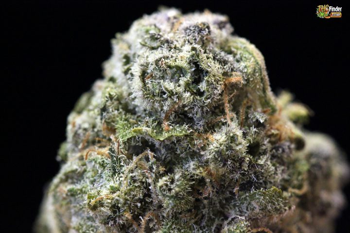 kryptonite-marijuana-large-nug-thcfinder-00403911