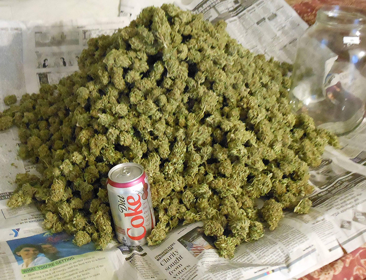 pile-of-weed-diet-coke