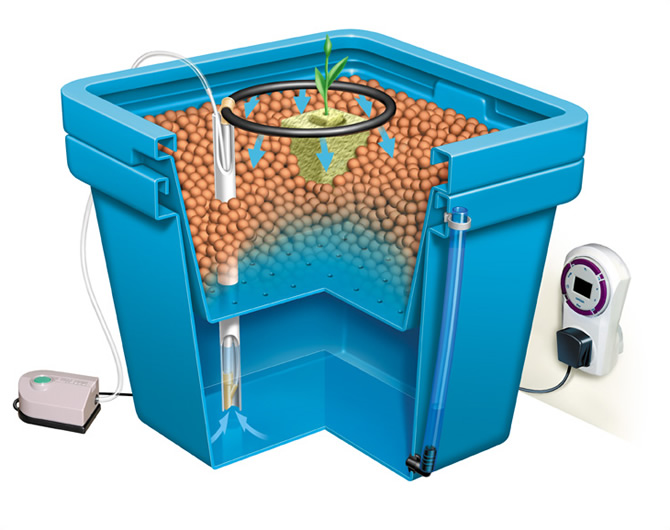 bucket-drip-irrigation-system