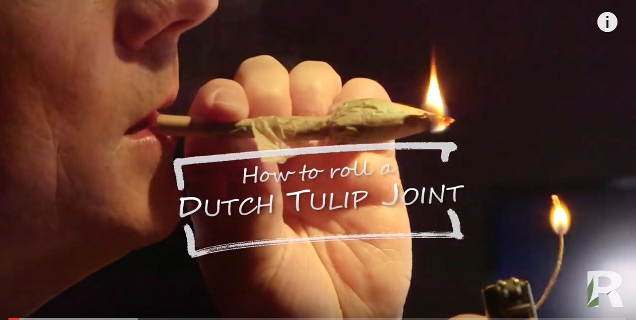 Kijk, zó rol je een 'Dutch Tulip Joint' CNNBS.nl