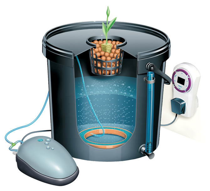 bubbler-dwc-system